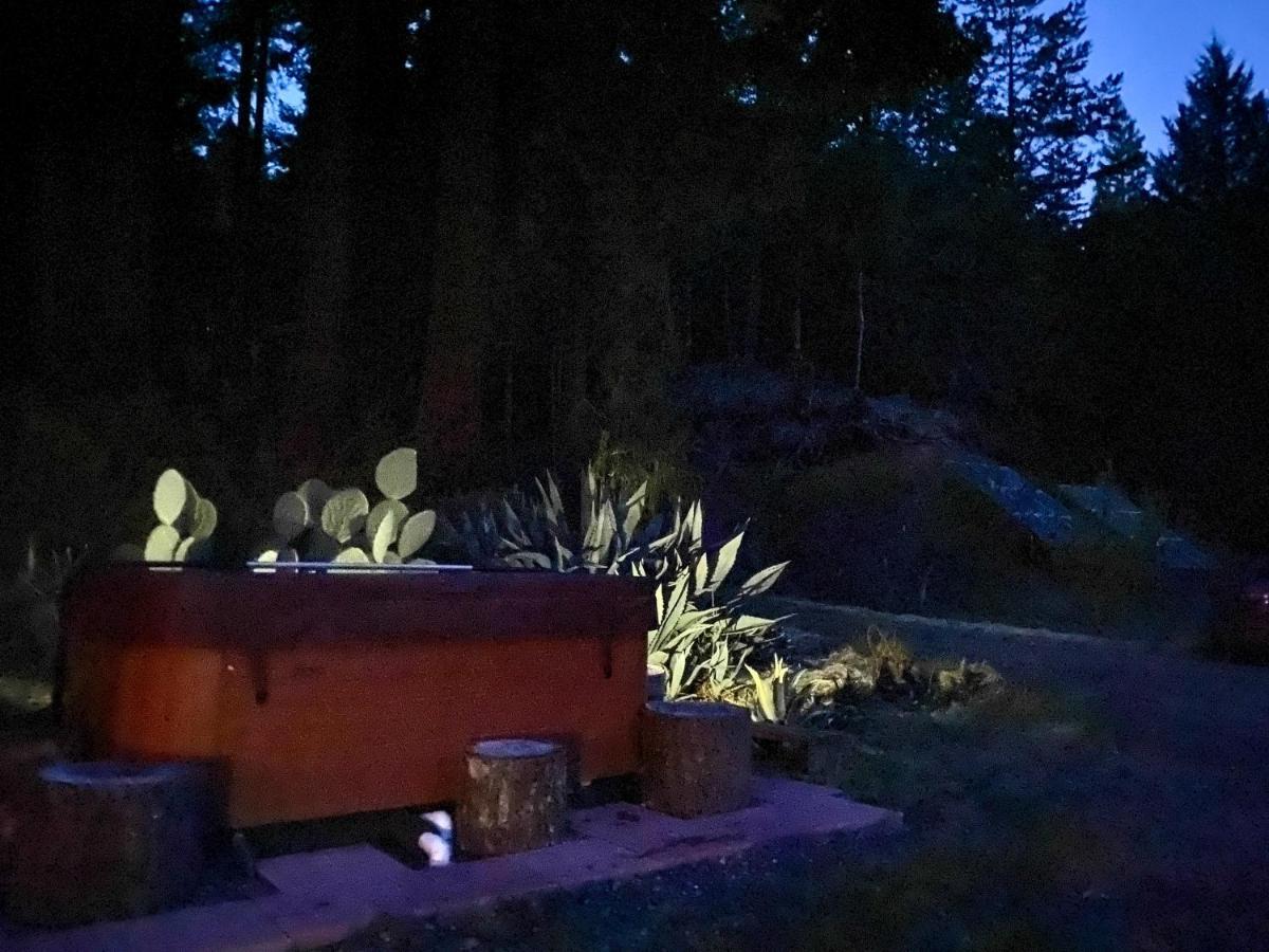 Hotel Glamping In The Redwoods With A Hot Tub! à Garberville Extérieur photo