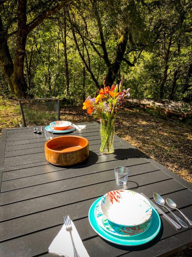 Hotel Glamping In The Redwoods With A Hot Tub! à Garberville Extérieur photo